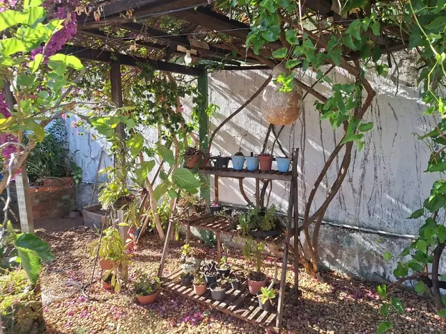 Casa em condomínio com 3 quartos — foto 4